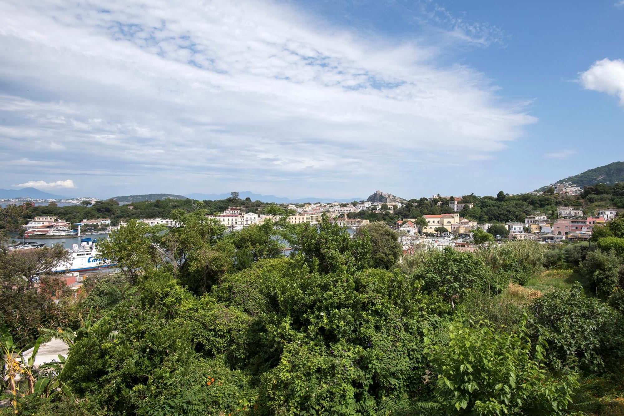 Con Vista Esclusiva Sul Golfo D'ischia Appartement *